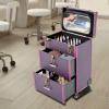 BAIODNB Professional Makeup Train Case, Rolling Makeup Case Professional Cosmetology Trolley, Makeup Case with Lighted Mirror view 3