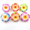 10 Pcs Colorful Hawaii Plumeria Flower Clips Hawaiian Flower Hair Barrettes Beach Party Hair Clips Artificial Tropical Flowers Hairpins for Wedding Hair Clips Personal Care view 4