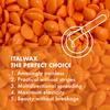 Italwax Top Line Coral Hard Wax 1lb (450g)  Creamy Intense Orange Texture with Strong Grip, Ideal for Bikini & Coarse Hair, Smooth Application for Sensitive Skin  Made in Italy view 4