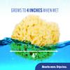 Baby Buddy All in One Bundle Natural Wool, Yellow, and Grass Sea Sponge, New Born Bath Time Essential view 4