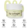 Lip Collagen + Peptide 0.7oz, Collagen Lip Mask with Vitamins E, A -Lip balm to Nourish & Hydrate Lips, Lip Moisturizer for Gentle exfoliating view 4