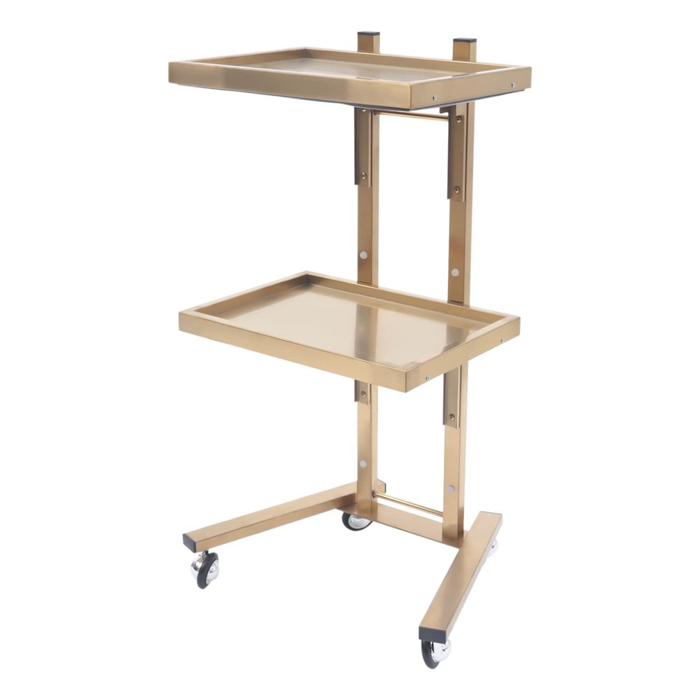 YIPONYT 2-Tier Metal Rolling Cart, Stainless Steel Rolling Tool Trolley Cart with Double Storage Tray, Mobile SPA Instrument Tray Stand for Beauty Hair Salon Tattoo Spa (Golden)