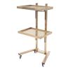 YIPONYT 2-Tier Metal Rolling Cart, Stainless Steel Rolling Tool Trolley Cart with Double Storage Tray, Mobile SPA Instrument Tray Stand for Beauty Hair Salon Tattoo Spa (Golden) view 1