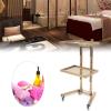 YIPONYT 2-Tier Metal Rolling Cart, Stainless Steel Rolling Tool Trolley Cart with Double Storage Tray, Mobile SPA Instrument Tray Stand for Beauty Hair Salon Tattoo Spa (Golden) view 2