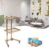 YIPONYT 2-Tier Metal Rolling Cart, Stainless Steel Rolling Tool Trolley Cart with Double Storage Tray, Mobile SPA Instrument Tray Stand for Beauty Hair Salon Tattoo Spa (Golden) view 3