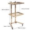 YIPONYT 2-Tier Metal Rolling Cart, Stainless Steel Rolling Tool Trolley Cart with Double Storage Tray, Mobile SPA Instrument Tray Stand for Beauty Hair Salon Tattoo Spa (Golden) view 4