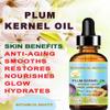 Botanical Beauty French PLUM KERNEL OIL 100% Pure Natural Virgin Unrefined Cold Pressed Carrier Oil 0.5 oz- 15 ml for Face, Skin, Hair, Lips, Nails. Skin SuperFood. Face moisturizer Oil view 4