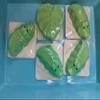 NinthAvenue Basics Alligator Bath Bomb (Eucalyptus), 1 Count (Pack of 1), Green view 1
