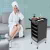 Salon Trolley, 6 Tiers Beauty Salon Trolley with Handle+Rolling Wheels, 5 Drawers and 2 Hair Dryer Holder Side Tray for Beauty Salons, Barber Stores, Hospitals, and Health Centers, Black view 2