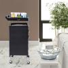 Salon Trolley, 6 Tiers Beauty Salon Trolley with Handle+Rolling Wheels, 5 Drawers and 2 Hair Dryer Holder Side Tray for Beauty Salons, Barber Stores, Hospitals, and Health Centers, Black view 4