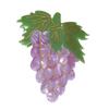 Big Grape Hair Clips,Cellulose Acetate Hair Clips,Big Claw Clips for Girl,Hair Accessories,Light Purple view 1