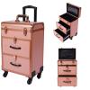 BANEBONE Professional Makeup Suitcase with Wheels, Rolling Makeup Trolley Train Case Organizer for Beauty Centers Salons and Home Large Cosmetic Storage Case with Spinner Wheels and Drawer (Gold) view 1