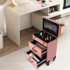 BANEBONE Professional Makeup Suitcase with Wheels, Rolling Makeup Trolley Train Case Organizer for Beauty Centers Salons and Home Large Cosmetic Storage Case with Spinner Wheels and Drawer (Gold) view 4