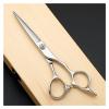5.8 Inch Hairdressing and Structural Scissors,Flat Scissors,Special for Hairdressers Hair Cutting Scissors view 1