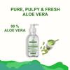 GREEN ANGLE Skin Science Aloe Vera Multipurpose Beauty Gel for Skin and Hair, 250 ml view 4
