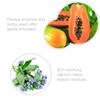 Bio-Therapeutic Exfoliate, Gentle Skin Polishing Gel, Smoothing, Refreshing with Papaya and Orange Oil, Allantoin, Daily Use view 2