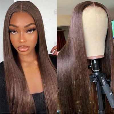 Imeya Brown Synthetic Lace Front Wig Dark Brown Straight Wig Glueless Long Brown Hair Wig Chocolate Brown Lace Front Wigs for Women Daily Party