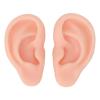 Silicone Ear Model, Soft Simulation Ear Body Realistic Artificial Reusable Part Kit for Earrings Jewelry Display Pierce Exercise Teaching Tool 1 Pair view 1