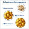 TOSOWOONG Volufiline Serum, 100% France Sederma Volufiline Concentrate for Plumping, Skin firming, Boost and Glass skin, glow Skincare for Face, lip and body, 11ml 0.37 fl. oz. view 4