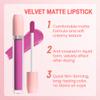BINGBRUSH Super Matte Longwear No-Budge Stay On Smudge Proof Liquid Lipstick Long Lasting Makeup for Women,Highly Pigmented Color and Instant Shine, Cheeky view 4