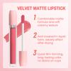 BINGBRUSH Super Matte Longwear No-Budge Stay On Smudge Proof Liquid Lipstick Long Lasting Makeup for Women,Highly Pigmented Color and Instant Shine, Cheeky view 4