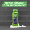 PERT 2 in 1 Complete Plus Scalp Care Shampoo and Conditioner - Itchy Scalp Treatment - Sulfate Free Shampoo and Conditioner for Healthy Hair - 25.4 oz view 2