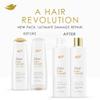Dove Bond Strength Shampoo & Conditioner Set Daily Strengthening Treatment for Dry, Damaged Hair, 12 Oz Ea view 3