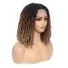 12-Inch Pre-looped Yanky Twists Full lace Braided Wigs for Black Women Ombre Brown Bohemian Spring Twists Hair Passion Twist Wigs with Curls Synthetic Marleybob Crochet Braids Hair Wigs T1B/30/27 view 4