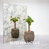 Glass Beveling Service Custom Cut to Size - Antique Mirror - 1/4" Thick - Beveled Antique Mirror view 4