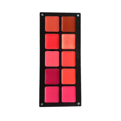 Bianca Makeup Cheeks & Lip Palette | Lipstick and Blush | Cream Formula | Reusable Magnetic Case | For All Skin Types (Reds and pinks)