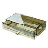 YXIANG56Q Makeup Box Simple Drawer Storage Box Skin Care Products Bathroom Desktop Storage Box Cosmetic Dressing Table Storage Rack Cosmetics and Perfume Organizer view 3