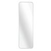 NinthAvenue Basics Silver 47 x 14IN Door Mirror view 1