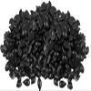 Blue Pearl Wax Abyss Men's Hard Bead Wax (Stripless) Large Bag - 10lbs view 2
