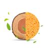 LJJCSFF 10PCS Spa Face Sponge Facial Cleansing Sponges Mask Removal Sponges Makeup Remover Exfoliating Facial Sponge Face Pads view 4