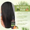 Batana Oil for Hair Growth Organics Pure Batana Hair Oil 100% Natural Batana Oil Nourishes Damaged Hair Natural Hair Growth Oil and Conditioner Batana Hair Oil 2.02 Fl Oz view 4