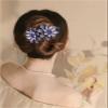 5 Pcs double flower decorative jeweled rhinestone hair clip pretty fancy floral thick crystal hair clips for women beautiful fashion designer asian accessories long chinese korean vintage ornaments view 3