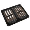 6-Piece Blackhead Extractor r Tool Kit - Stainless Steel Skin Care Set for Pore Cleansing and Acne Removal - Professional and Personal Use - Travel-Friendly Case Included view 1
