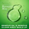 OGX Clarifying Strength + Rosemary Mint Shampoo, Clarifying Shampoo for Oily Hair Visibly Helps Remove Oil & Residue to Clear Away Buildup, Sulfate-Free Surfactants, 13 fl. oz view 2