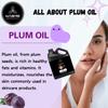 Naturevibe Botanicals Plum Oil 32 Ounces | 100% Pure and Natural | Great for Skin Care and Hair Care view 3
