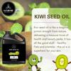 Naturevibe Botanicals Kiwi Oil 32 Ounces | 100% Pure and Natural | Great for Skin Care and Hair Care view 3