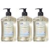 A LA MAISON French Liquid Hand Soap and Eco-Friendly Fresh Sea Salt, 3 pack 16.9 Fl Oz. view 1