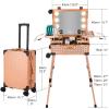 Aiborke Rolling Makeup Train Case with Lighted Mirror and Bluetooth Speaker Professional Cosmetic Organizer Case with Wheels, Stands Portable Makup Station Vanity for Travel (Rose gold, Medium) view 2