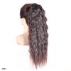 YUXING1205 Synthetic Kinky Curly Hair Ponytails Cosplay Hairpiece Ribbon Drawstring Ponytail Extensions Blue Pink Red Ombre Color(M2-33) view 2