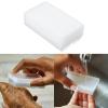 Art Dust Brush Scrubbings Brush Hand Brush Cleaner Manicures Tool Fingernail Brushes for Women view 2
