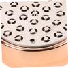 Beatifufu Portable Stainless Steel Foot File Exfoliating Callus Remover for Dry Cracked Heels Safe Pedicure Tool for Men Women Durable and Reusable Foot Care Device Rose Gold view 2
