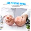 FRCOLOR 4pcs Professional Ear Model Earring Display Silicone Human Ear for Piercing Practice Piercings view 3