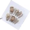 Gold Cat Eye Patch Versatile Handmade Wear Nail and Nail Enhancement Patch Detachable False Nails(M) view 1