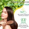 A r b c r n 2 Pack Rosemary Oil for Hair Growth Organic,100% Pure Rosemary Essential Oil for Eyebrow and, colourless view 4
