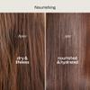 Renpure Coconut & Vitamin E Shampoo & Conditioner Set, Plant-Based  Nourishes & Seals In Moisture For Soft, Healthy Hair  For Dry, Lifeless Hair  Coconut Oil & Vitamin E - 24 Fl Oz each, 2 Pack view 4