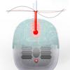 joysperous Foot Spa Bath Massager, Foot Soaking Bucket Electric Foot Spa Bath Massager Rolling Vibration Heat Electric Oxygen Bubbles Foot Massage for Relieve Pressure Relaxation Bucket view 4